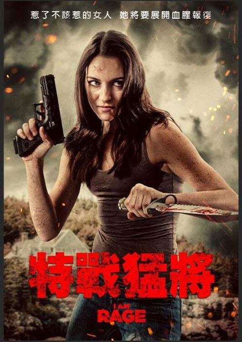 我是狂怒电影海报