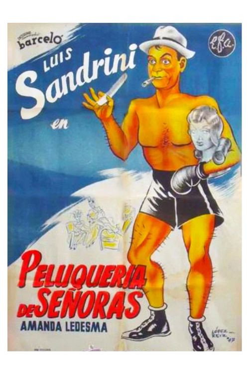 Peluquería de señoras poster 6