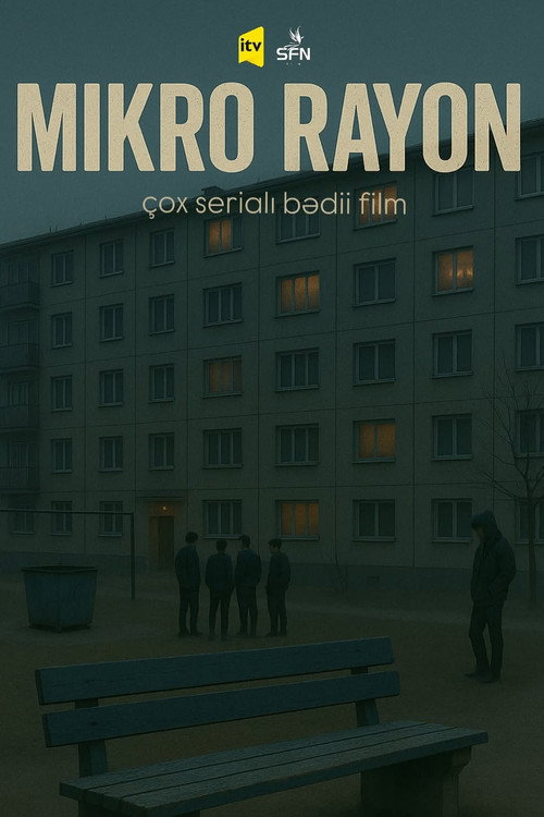 Microdistrict poster 2