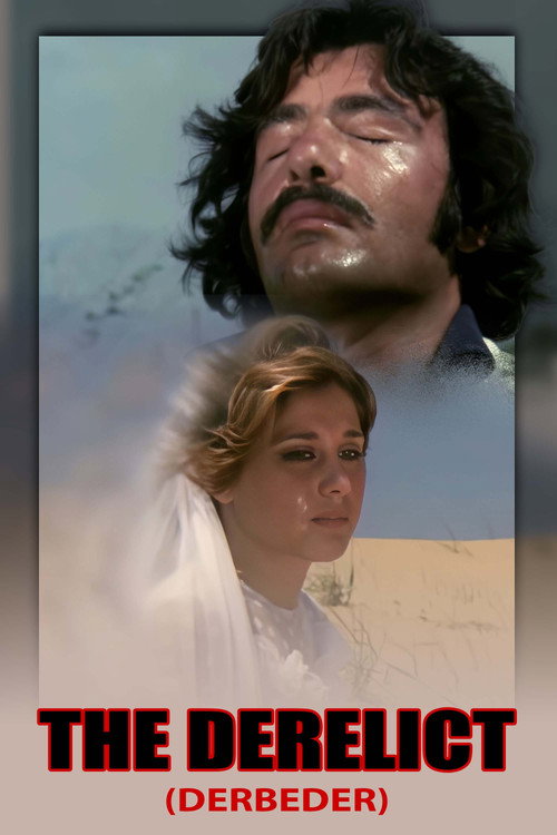 The Derelict Poster