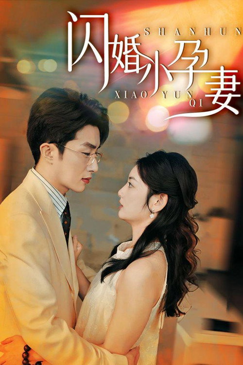 闪婚小孕妻电影海报