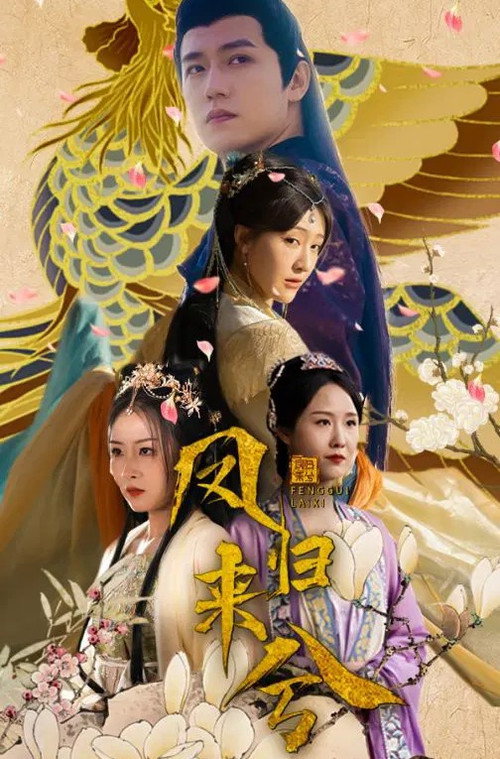 凤归来兮电影海报