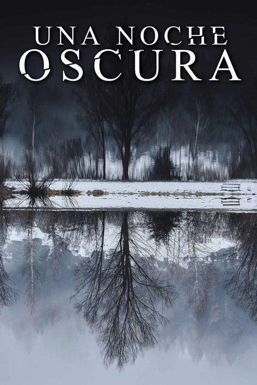 Poster of Una noche oscura