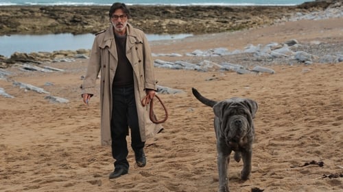 Der Hund bleibt (2019) Voller Film-Stream online anschauen