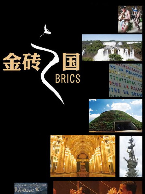 金砖之国电影海报