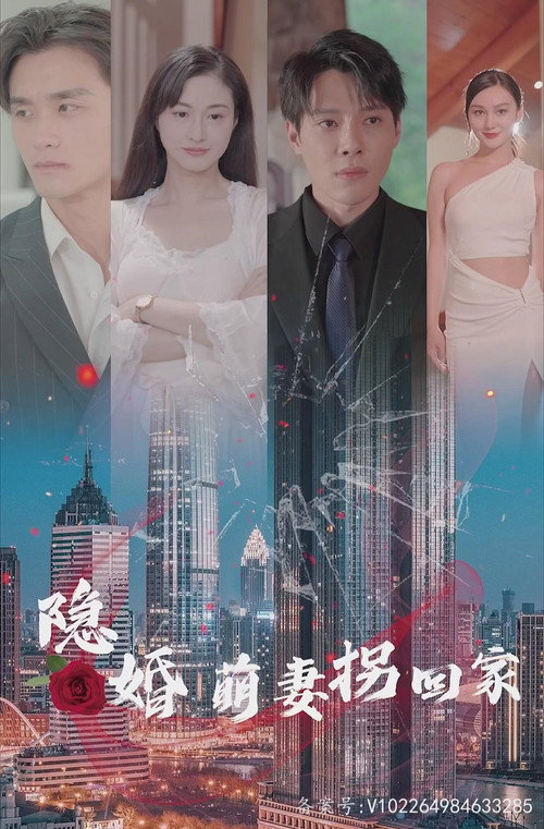 隐婚萌妻拐回家电影海报
