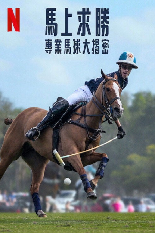 马球电影海报