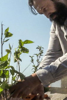 Carta al Campo (2020) Watch Full HD Movie 1080p