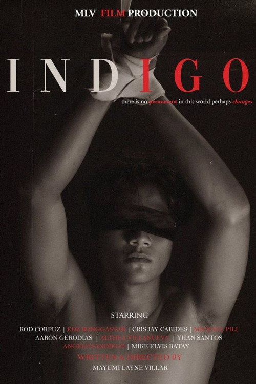 Indigo the Series电影海报
