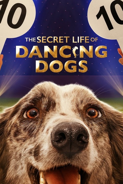 Poster of The Secret Life of Dancing Dogs