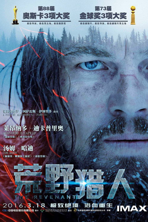 荒野猎人电影海报