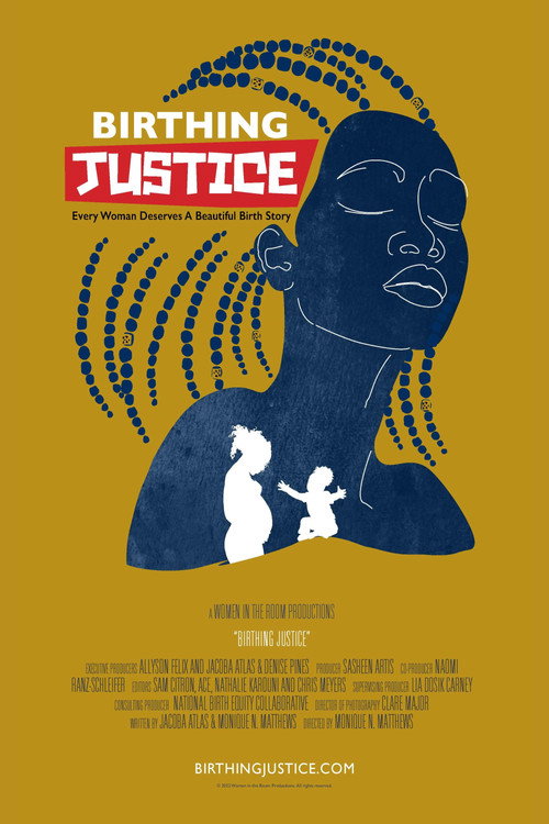 Birthing Justice poster 2