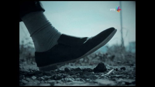 959 Domaća produkcija