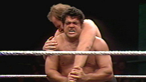 WWF Championship Wrestling - Jan 17, 1981