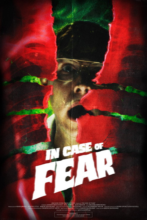 In Case of Fear电影海报