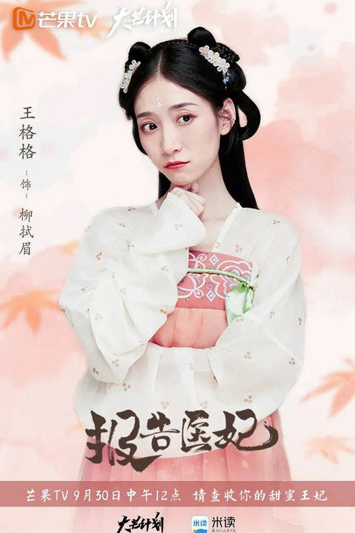 Doctor Princess poster 3