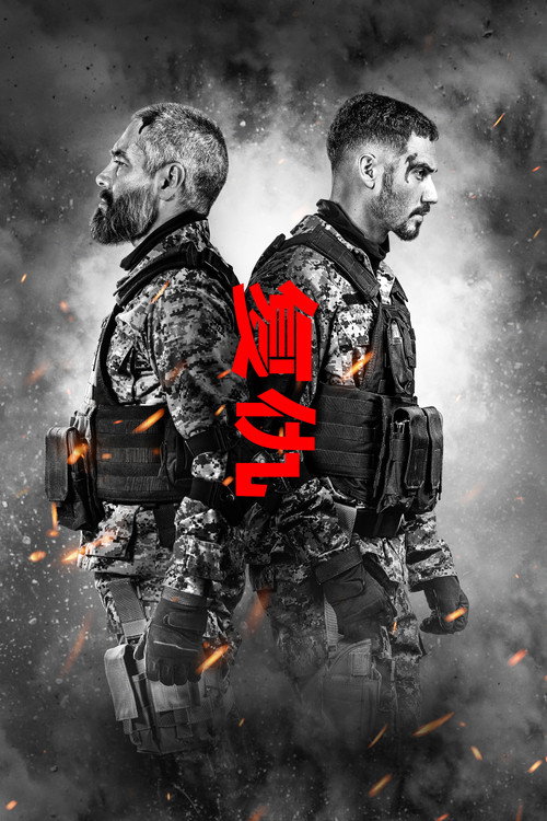 复仇双雄电影海报