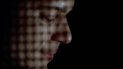 Prison Break - 11. Bölüm