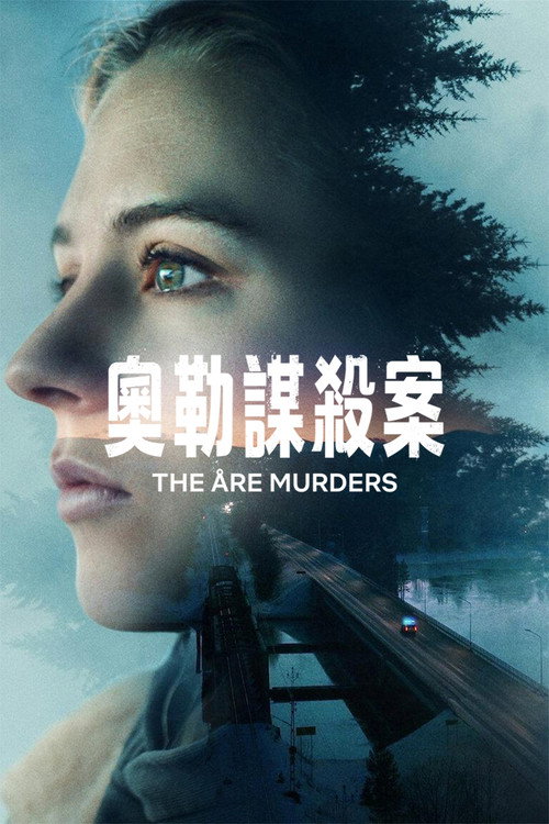 奥勒谋杀案电影海报