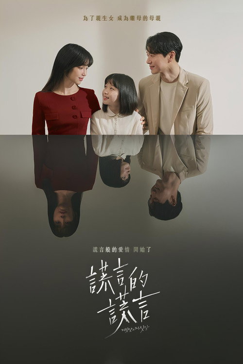 谎言的谎言电影海报