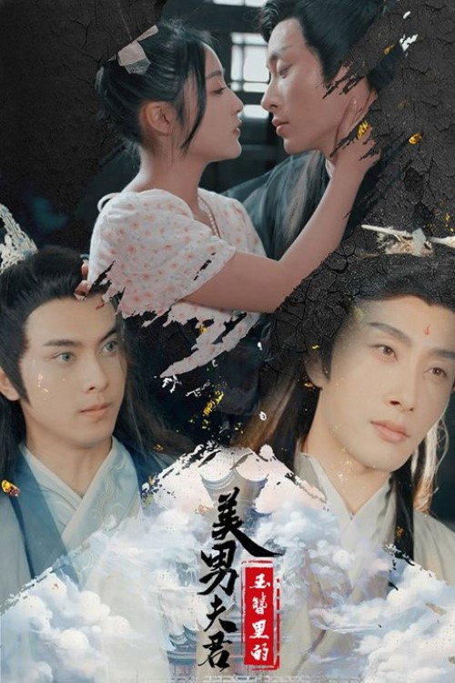 玉簪里的美男夫君电影海报