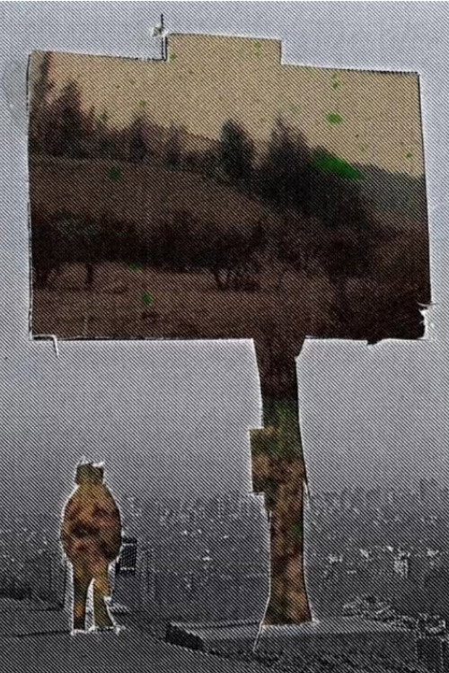 There's a Signal From the Noise, but There's no Noise