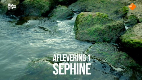 Sephine