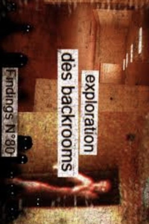 Findings N°80 Poster