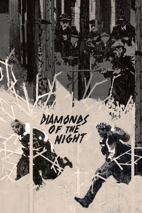 Diamonds+of+the+Night
