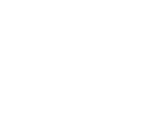 RIDE ALONG Logo