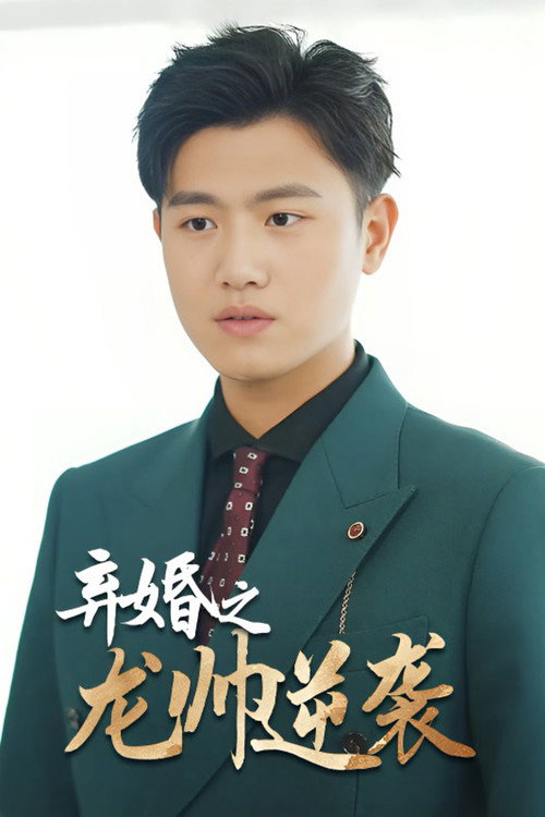 弃婚之龙帅逆袭电影海报