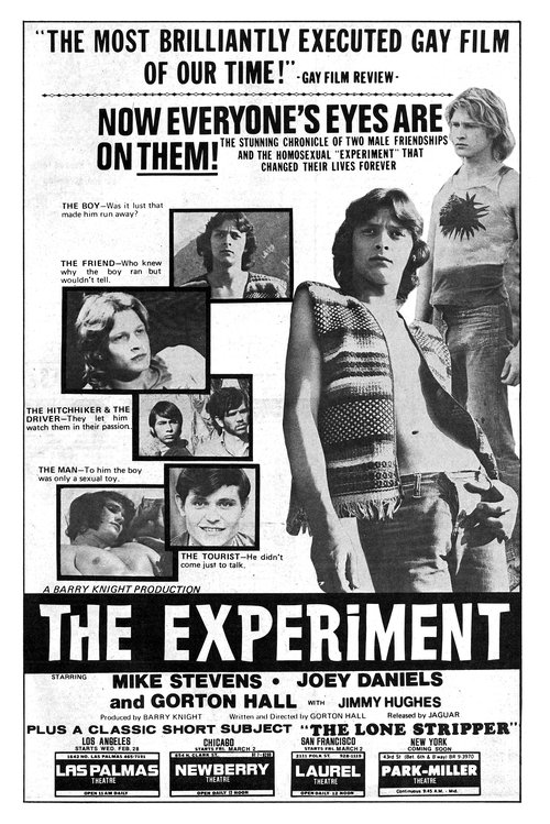The Experiment Poster