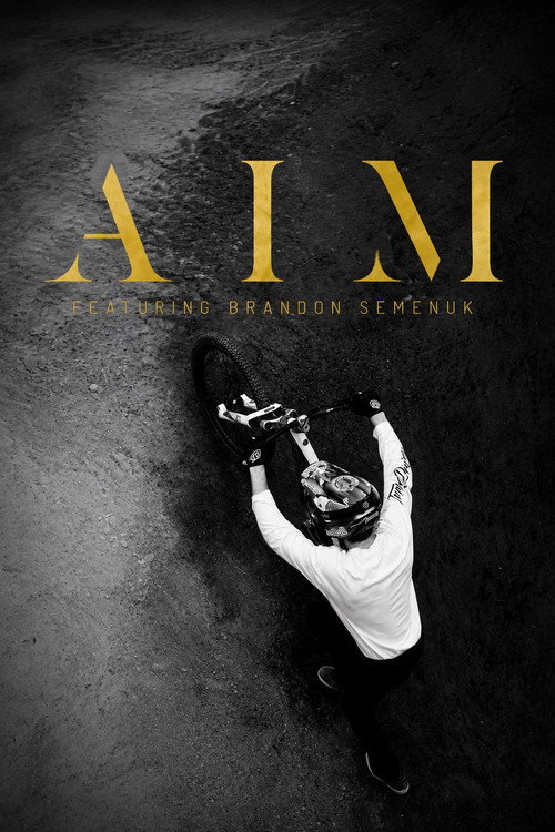 AIM feat. Brandon Semenuk Poster