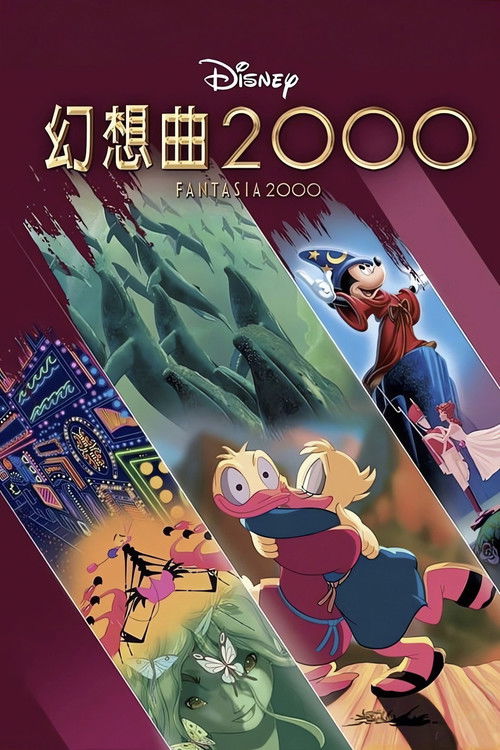 幻想曲2000电影海报