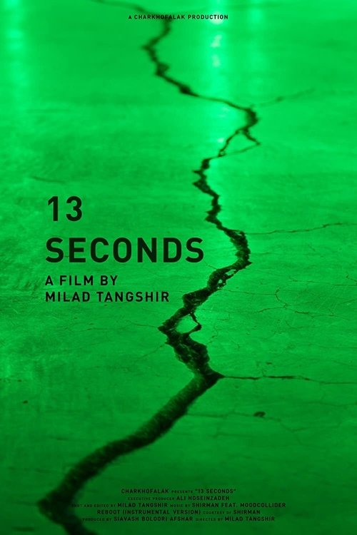 13 seconds poster