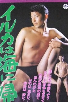 Dolphins return to the sea