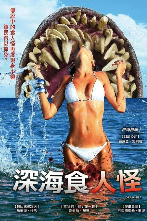 死海电影海报