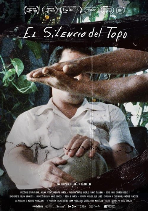Poster of El silencio del topo