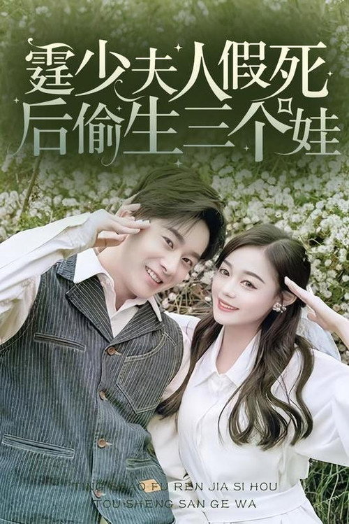 霆少，夫人假死后偷生三个娃电影海报