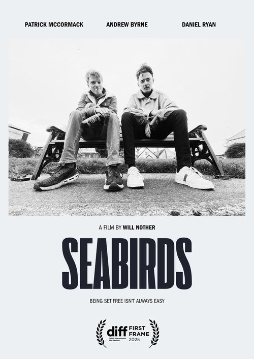 Seabirds Poster