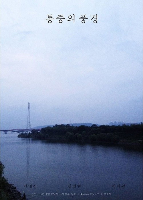 통증의 풍경电影海报