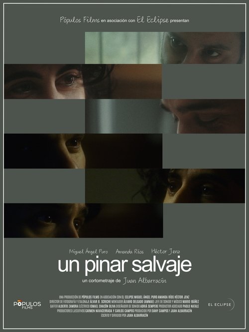 Un pinar salvaje Poster