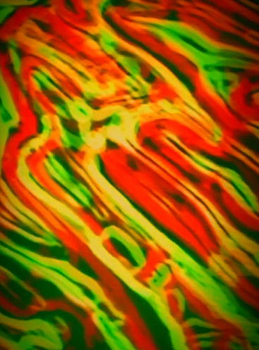 Somebody's Dream 2020