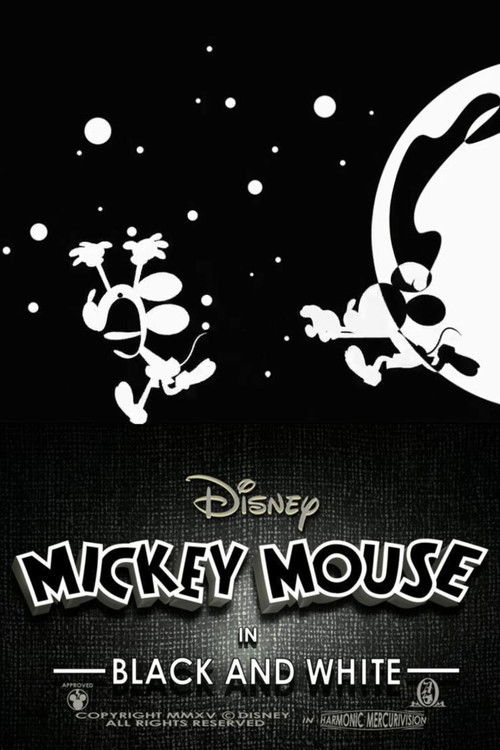 Black and White Poster