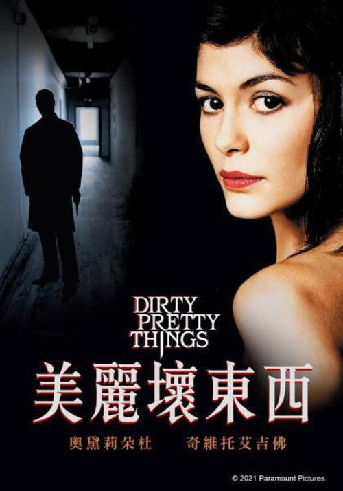 美丽坏东西电影海报