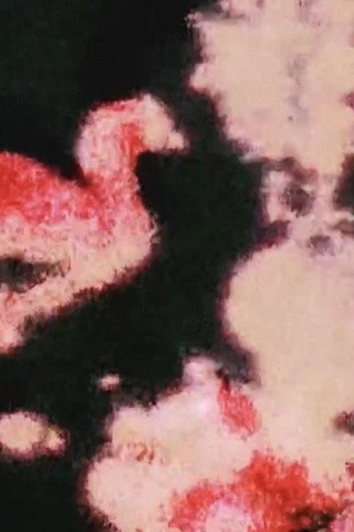 Hejira, Fragmented's poster
