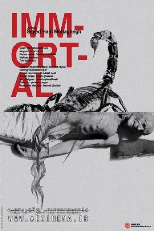 Immortal poster 2