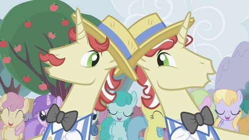 The Super Speedy Cider Squeezy 6000