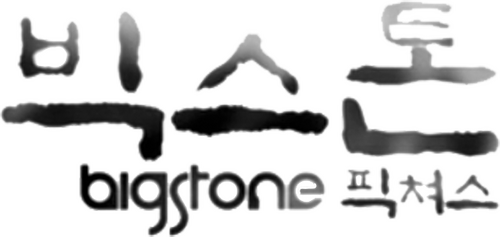 Big Stone Pictures Logo