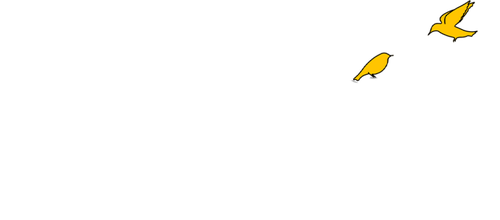 movies